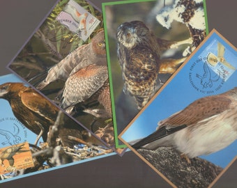 BIRDS of PREY Australia Set of 4 Stamp Commemorative Maxi Cards - EAGLE Goshawk Kestrel Harrier - Philatelic Ephemera