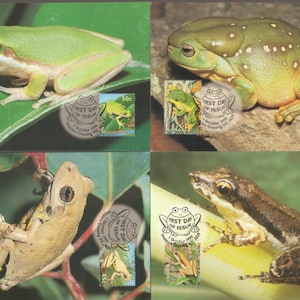 Ranas de Australia: Cuatro sellos diferentes, tarjetas filatélicas maxi: ideales para coleccionistas o proyectos infantiles.