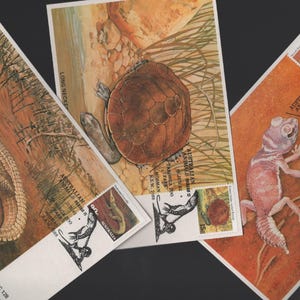 May include: Three Australian animal stamps featuring illustrations of a crocodile, turtle, and gecko. The stamps have a vintage aesthetic with detailed drawings and text. The stamps are on a dark background.