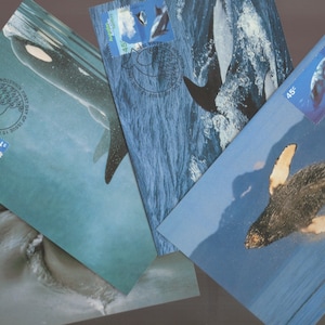 ANTARCTISCHE WALVISSEN en DOLFIJNEN ansichtkaarten set van 4 postzegels filatelistische maxikaarten - prachtige set voor ambachten om verzamelaars in te lijsten, cadeaus voor hem