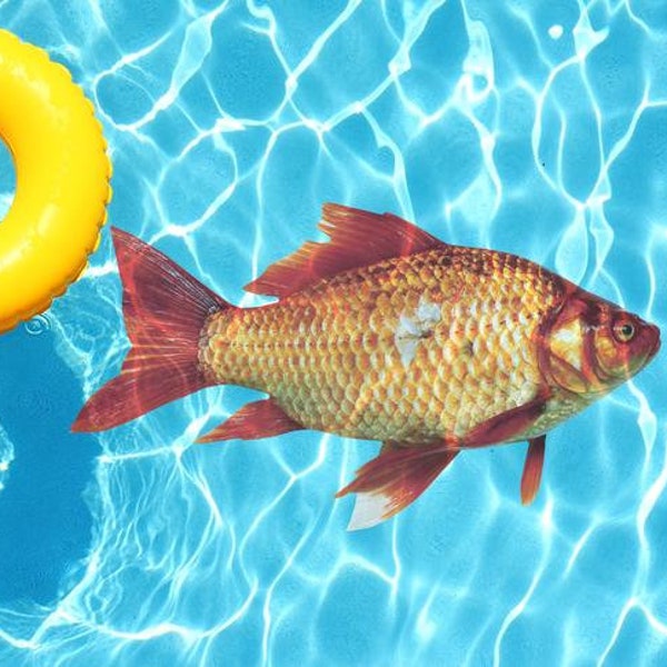 Underwater Pool Mat Etsy