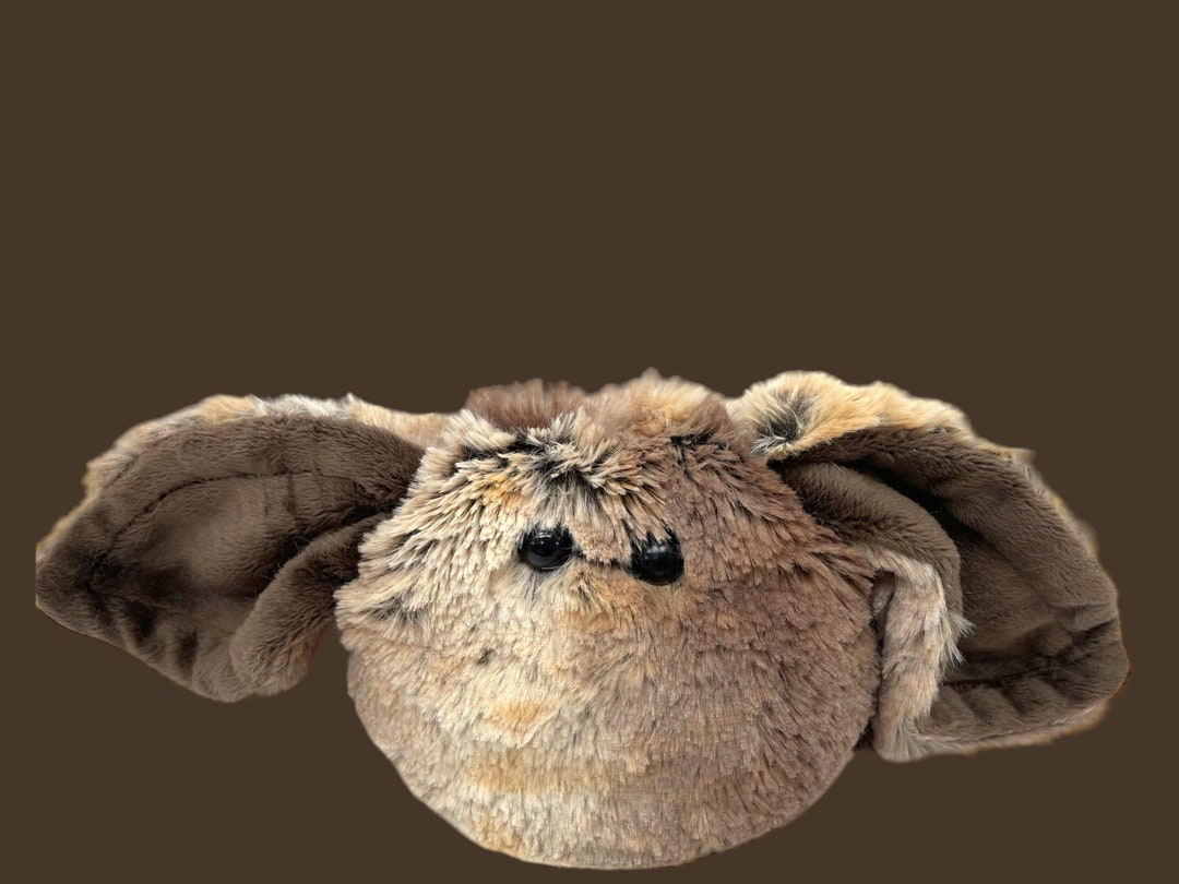 Weighted Plush Fidget Friend 5x5 Sensory Plush Adhd Etsy