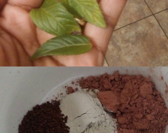 Cocoa and Mint Mud Mask