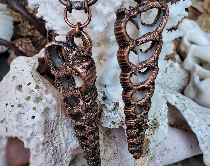 Cerithium Sliced Shell Ear Weights | Gauged Ears | Copper Electroformed  | OOAK