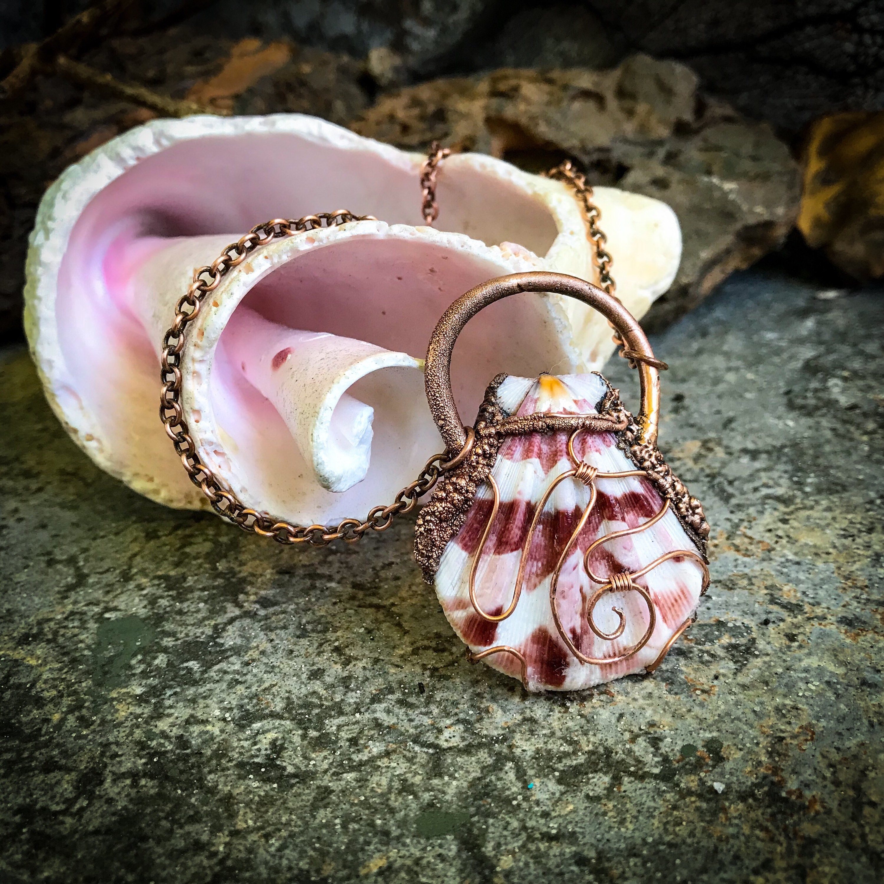 Natural Sea Shell Pendant Necklace HandWrapped Copper Electroformed Handmade OOAK
