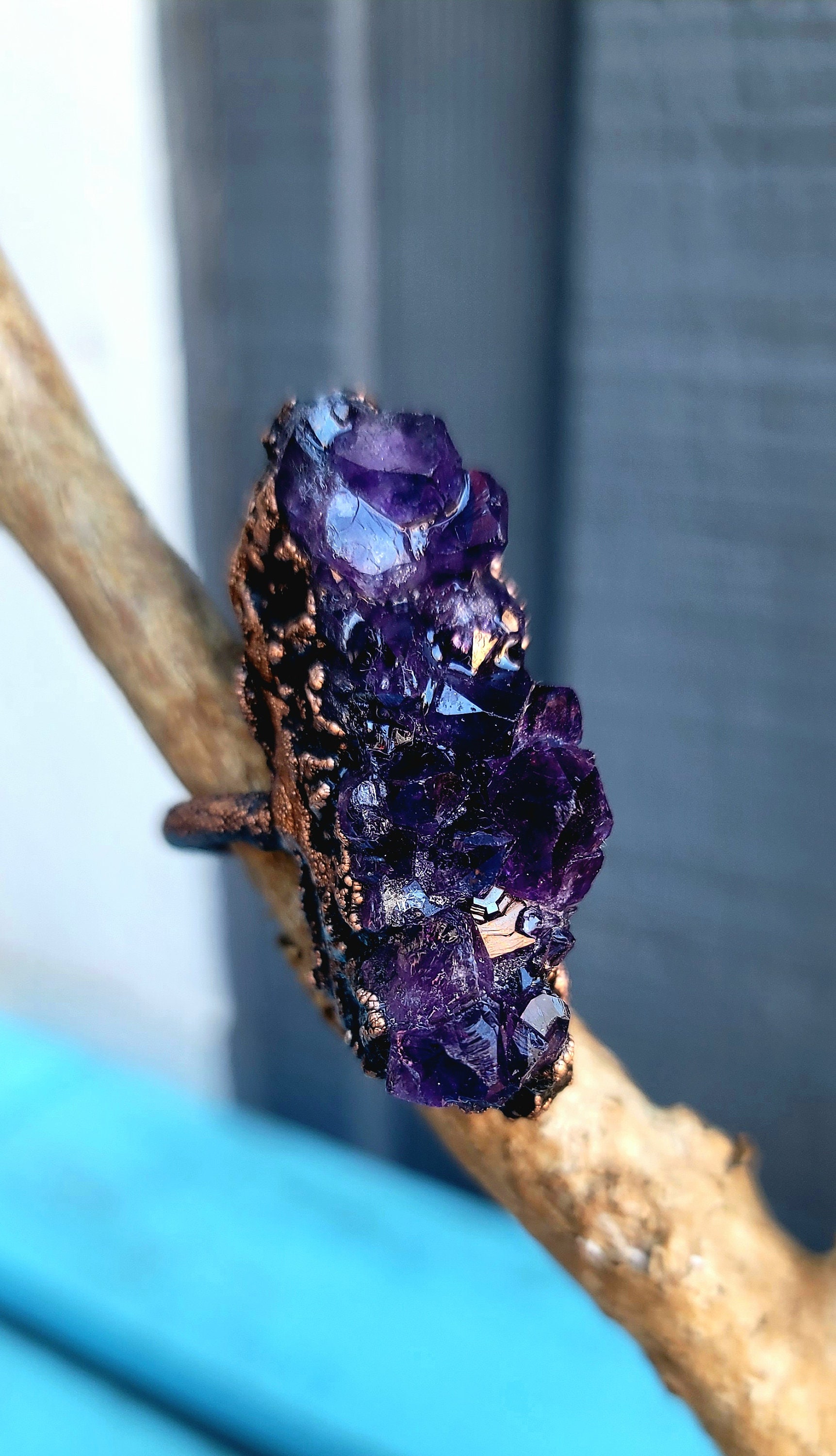 Classic Solitaire Cushion Amethyst Cocktail Ring | Angara