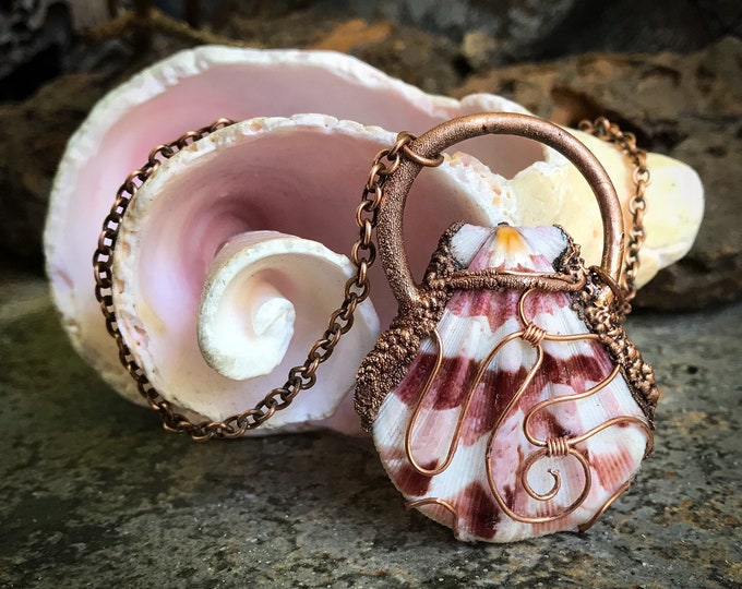 Natural Sea Shell Pendant Necklace | Hand-Wrapped | Copper Electroformed | Handmade OOAK