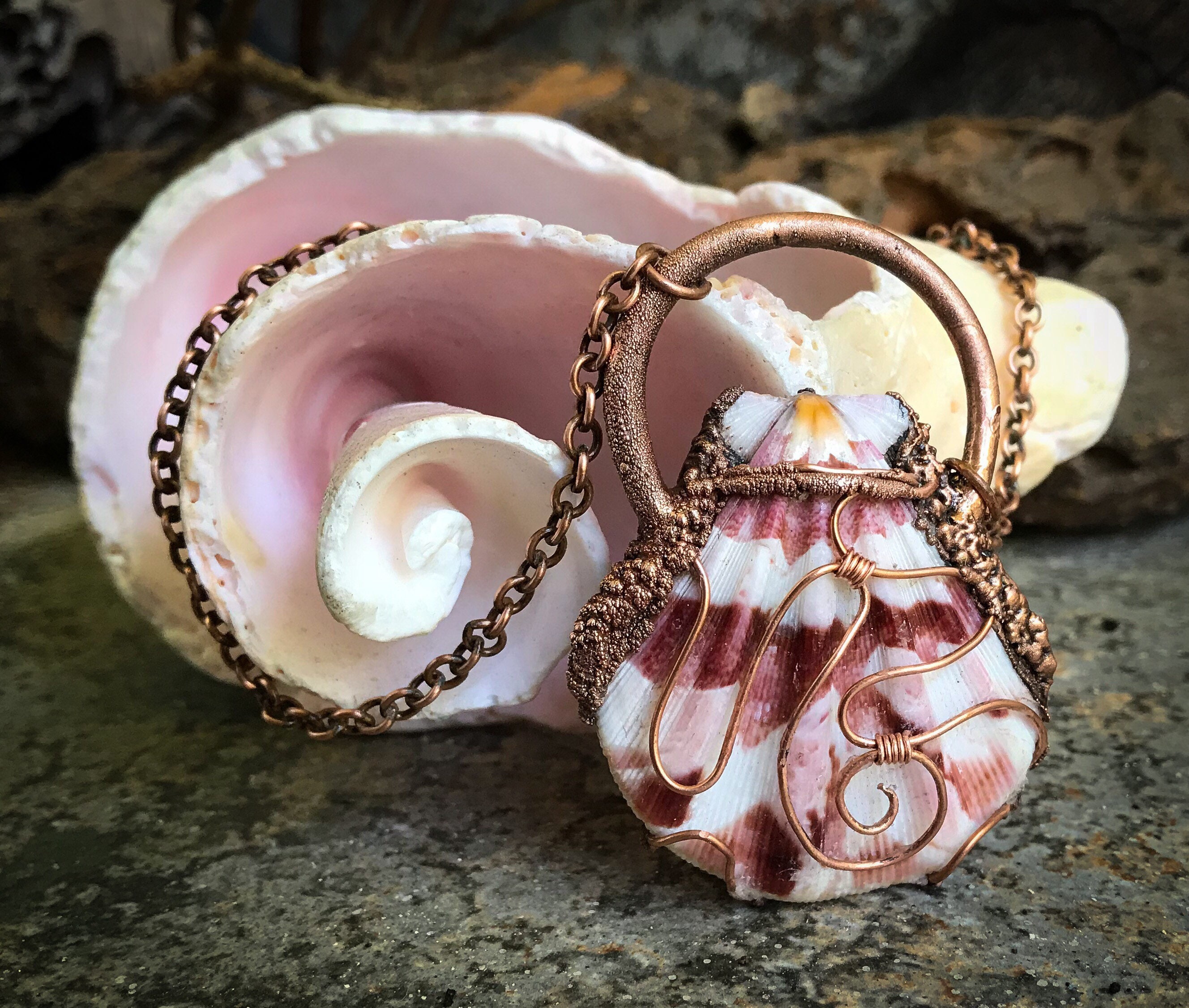 Natural Sea Shell Pendant Necklace HandWrapped Copper