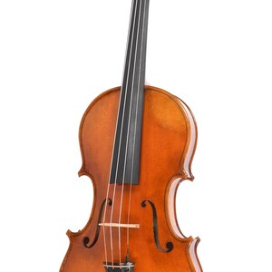 Puede incluir: Un viol&iacute;n cl&aacute;sico con un c&aacute;lido acabado &aacute;mbar. El instrumento presenta un clavijero detallado, cuatro cuerdas y un diapas&oacute;n negro. El cuerpo tiene una forma tradicional con efes y un mentonera. El viol&iacute;n est&aacute; sobre un fondo blanco.