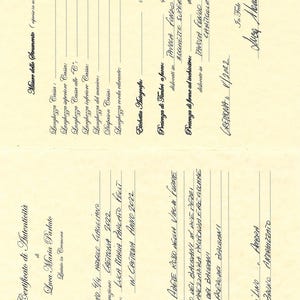 Puede incluir: Un documento manuscrito con medidas en mil&iacute;metros. Detalla las especificaciones de un instrumento musical, incluyendo dimensiones, materiales y la firma del fabricante. El documento est&aacute; fechado el 1/2022.