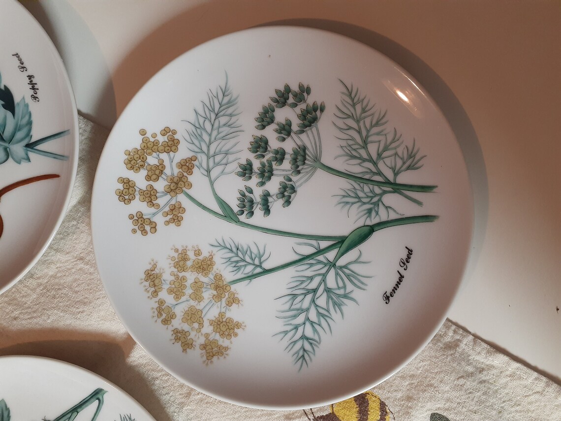 Vintage Floral Herb Plates Horchow Collection Botanical Plates Etsy