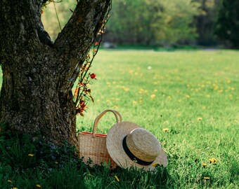 Hat and basket under shaded flowering tree