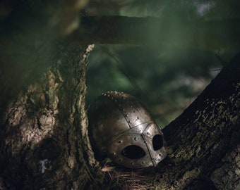 Viking helmet rests in the branches of a tree