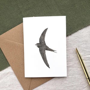 Biglietto d'auguri Swift Bird - Biglietto d'auguri per uccelli, regalo per osservatori di uccelli, regalo per amanti della fauna selvatica, regalo per la mamma