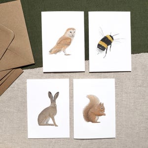 Lot de 4 cartes sur la faune britannique - Effraie des clochers, bourdon, lièvre et écureuil roux - Cartes de voeux nature, cartes d'art animalier, cartes vierges, lot de 4