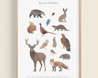 May include: A framed wall art print titled British Wildlife featuring detailed illustrations of animals including a badger, hare, red squirrel, pheasant, kingfisher, otter, barn owl, rabbit, golden eagle, red deer, robin, hedgehog, and red fox.