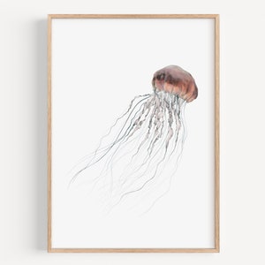 Quallen Kunstdruck - Ozean Wildtiere Illustration, Küsten Badezimmer Dekor, Löwenmähne Qualle Druck