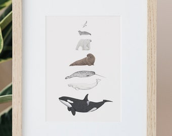Arctic Animals Species Illustration Art Print A5/A4 Wildlife