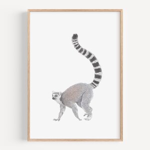 Lámina artística de lémur de cola anillada: arte infantil en la jungla, decoración de sala de juegos, regalo para amantes de los monos, regalo personalizado de lémur