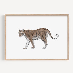 Bengal Tiger Art Print - Big Cat Lover Gift for Dad, Minimal Hand Drawn Tiger Home Decor, Jungle Wildlife Wall Decor