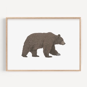 Stampa artistica di orso bruno, illustrazione di orso grizzly, regalo per amanti degli orsi, disegno a matita di animali selvatici, decorazione murale per cameretta dei bambini