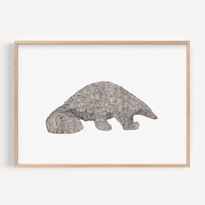 Stampa artistica personalizzata di Pangolino - Illustrazione disegnata a mano di una fauna selvatica in via di estinzione, regalo per gli amanti dei Pangolini.