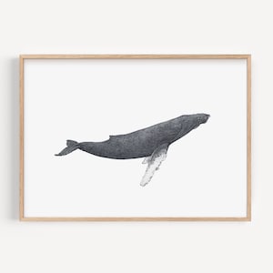 Humpback Whale Art Print - Ocean Whale Lover Gift, Marine Animal Home Decor, Nature Wall Art