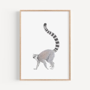 Impression d'art lémurien à queue annelée - art de la chambre d'enfant de la jungle, décoration de salle de jeux, cadeau pour amoureux des singes, cadeau personnalisé lémurien