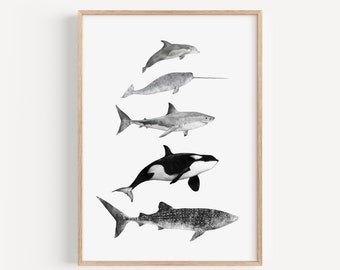 Ocean Wildlife Art Print - Whale Shark Illustration, Bathroom Wall Decor, Coastal Nursery Decor