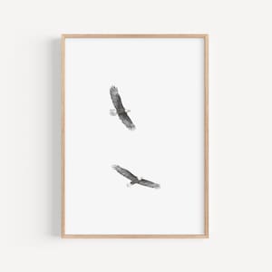 Impresión artística de águila calva: arte de pared minimalista de observación de aves, ilustración de aves, decoración del hogar, regalo para amantes de las aves