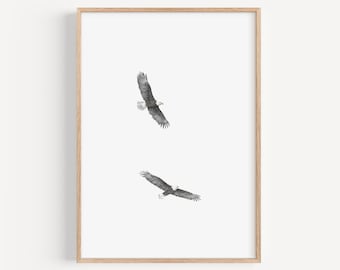 Bald Eagle Art Print - Bird watching Minimal Wall Art, Bird Illustration Home Decor, Bird Lover Gift