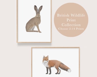 British Wildlife Print Bundle - Choose Two to Fourteen Animal Illustrations, A5 A4 Nature Wall Art Set