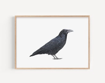 Raven Bird Illustration Personalised Print, Gothic British Birds, Wildlife Artwork, Pencil Drawing Print