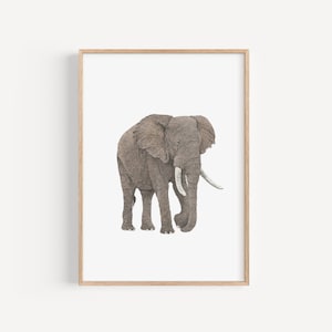 African Elephant Art Print: Hand-Drawn Wildlife Illustration