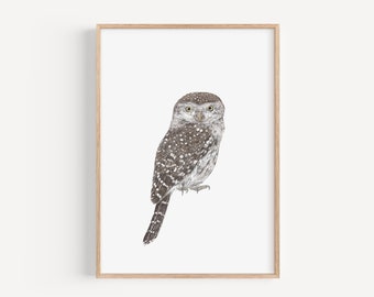 Owl Artwork Illustration Print, British Birds Gift, Pencil Drawing Print, Countryside Home Decor