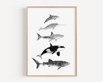 Impression d'illustration Sea Life, grand requin blanc personnalisé, impression de dessin au crayon