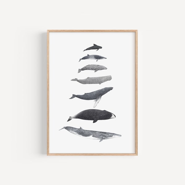 Walarten Illustration Kunstdruck, personalisierte Ozean Wildtiere Kunstwerk, Pottwal