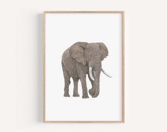 Elephant Illustration Art Personalised Print, Pencil Drawing Print, Soulmate drawing