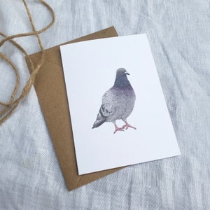 Pigeon Illustration Birthday Card A6, Nature Birthday Card, Fine Art Card image 6