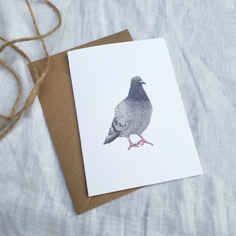 Pigeon Illustration Birthday Card A6, Nature Birthday Card, Fine Art Card image 6