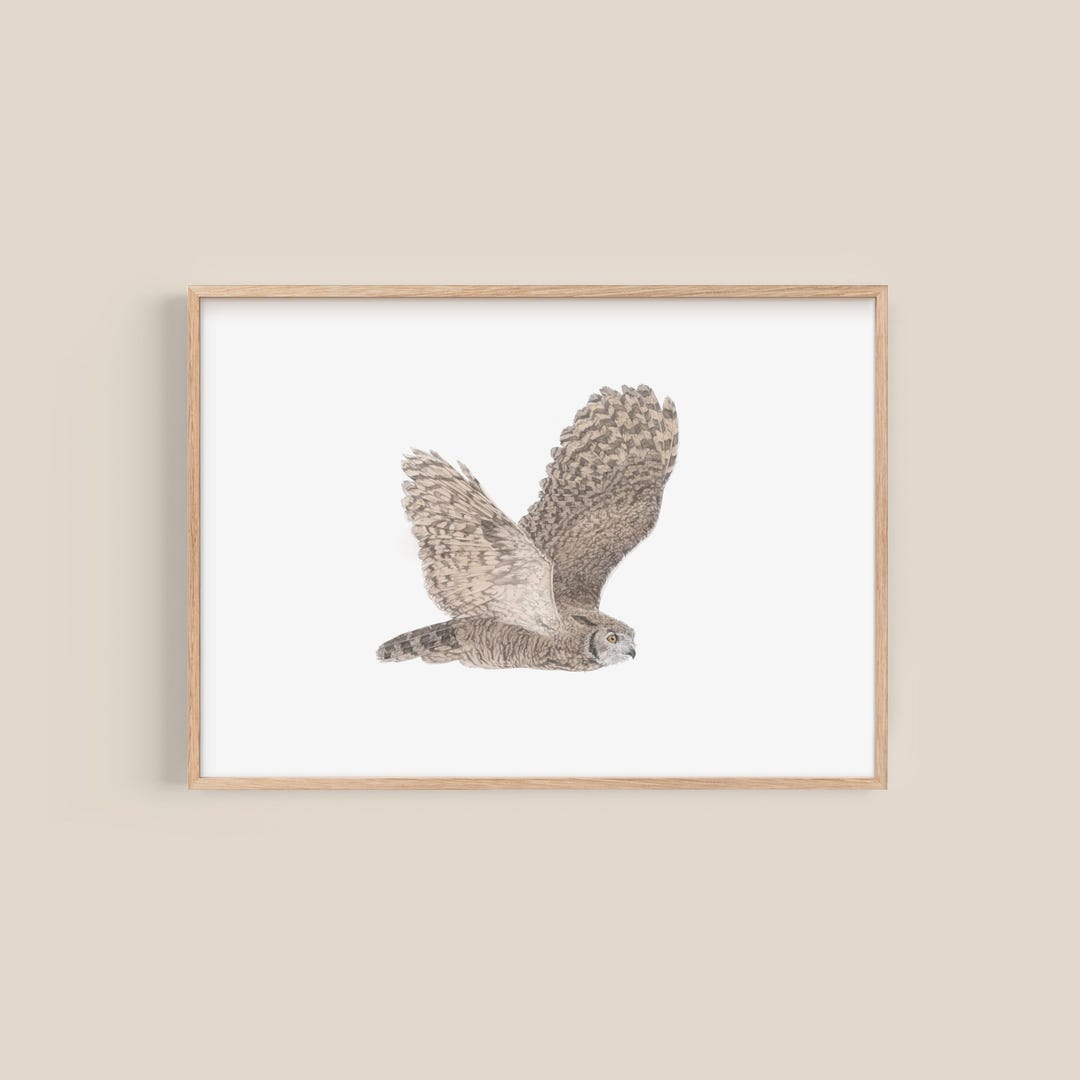 Great Horned Owl Art Print – Hand-drawn Flying Bird Illustration - Etsy