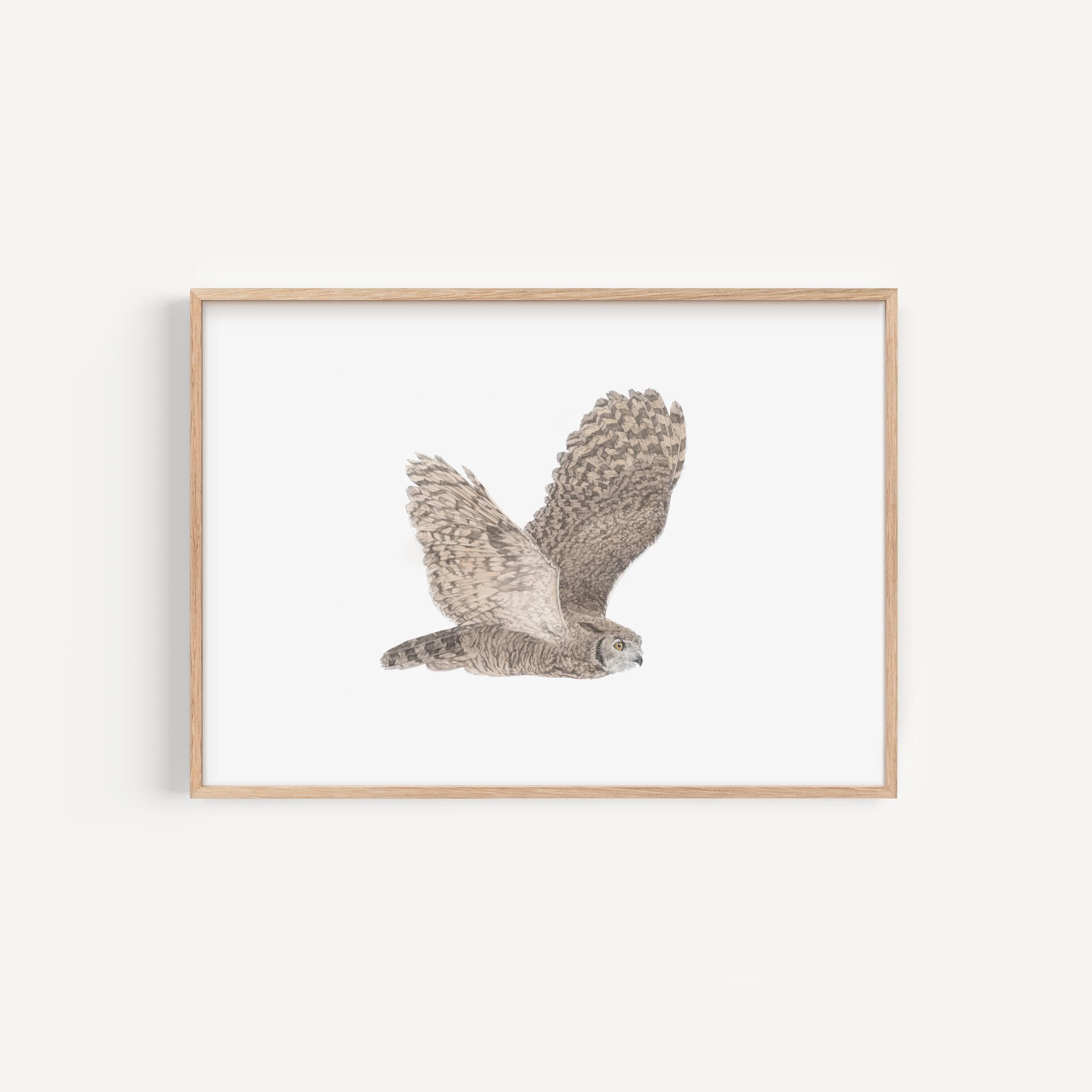 Great Horned Owl Art Print - Flying Bird Hand Drawn Illustration Home Decor