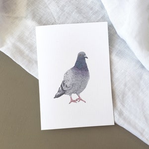 Pigeon Illustration Birthday Card A6, Nature Birthday Card, Fine Art Card image 2