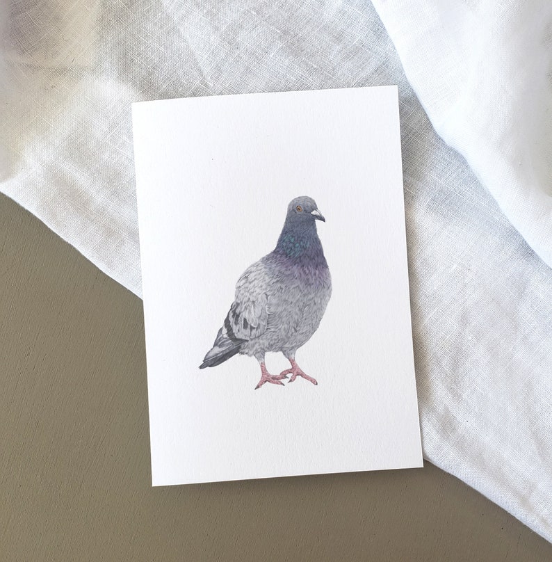 Pigeon Illustration Birthday Card A6, Nature Birthday Card, Fine Art Card image 2