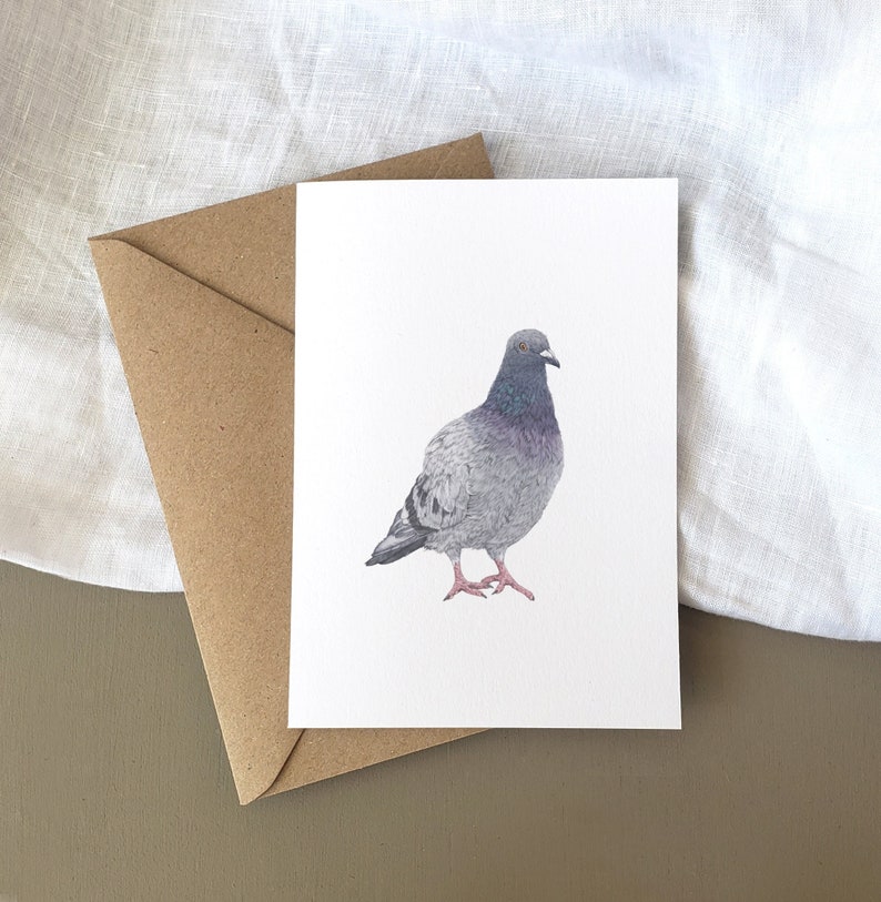 Pigeon Illustration Birthday Card A6, Nature Birthday Card, Fine Art Card image 1