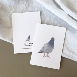 Pigeon Illustration Birthday Card A6, Nature Birthday Card, Fine Art Card image 5