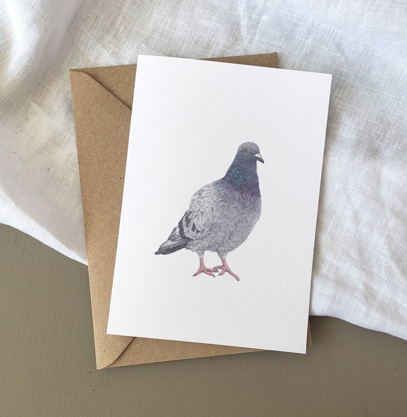 Pigeon Illustration Birthday Card A6, Nature Birthday Card, Fine Art Card image 3