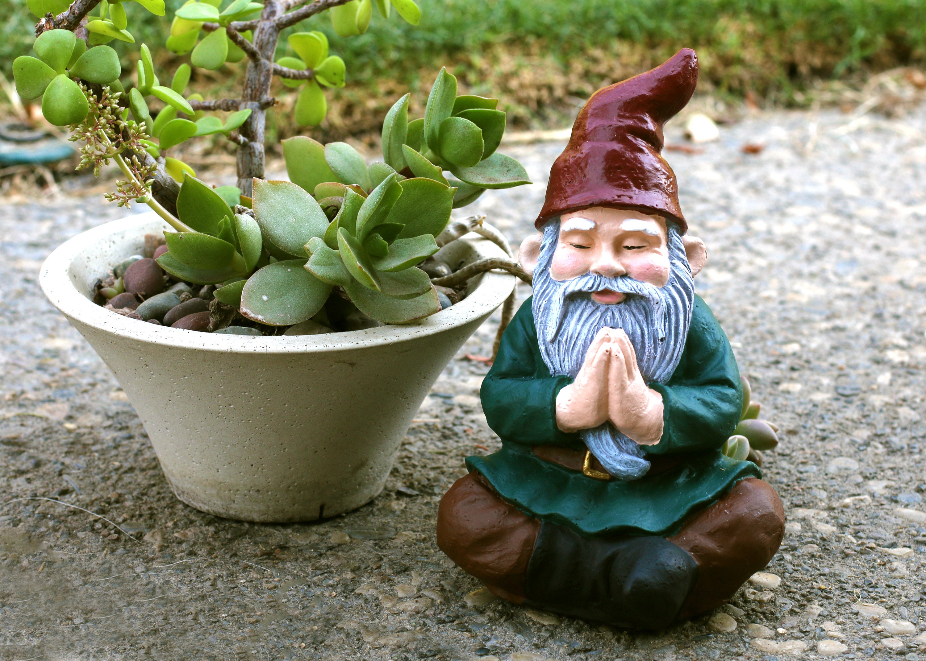 7 Meditation/ Praying Gnome Zen Garden Gnome Etsy