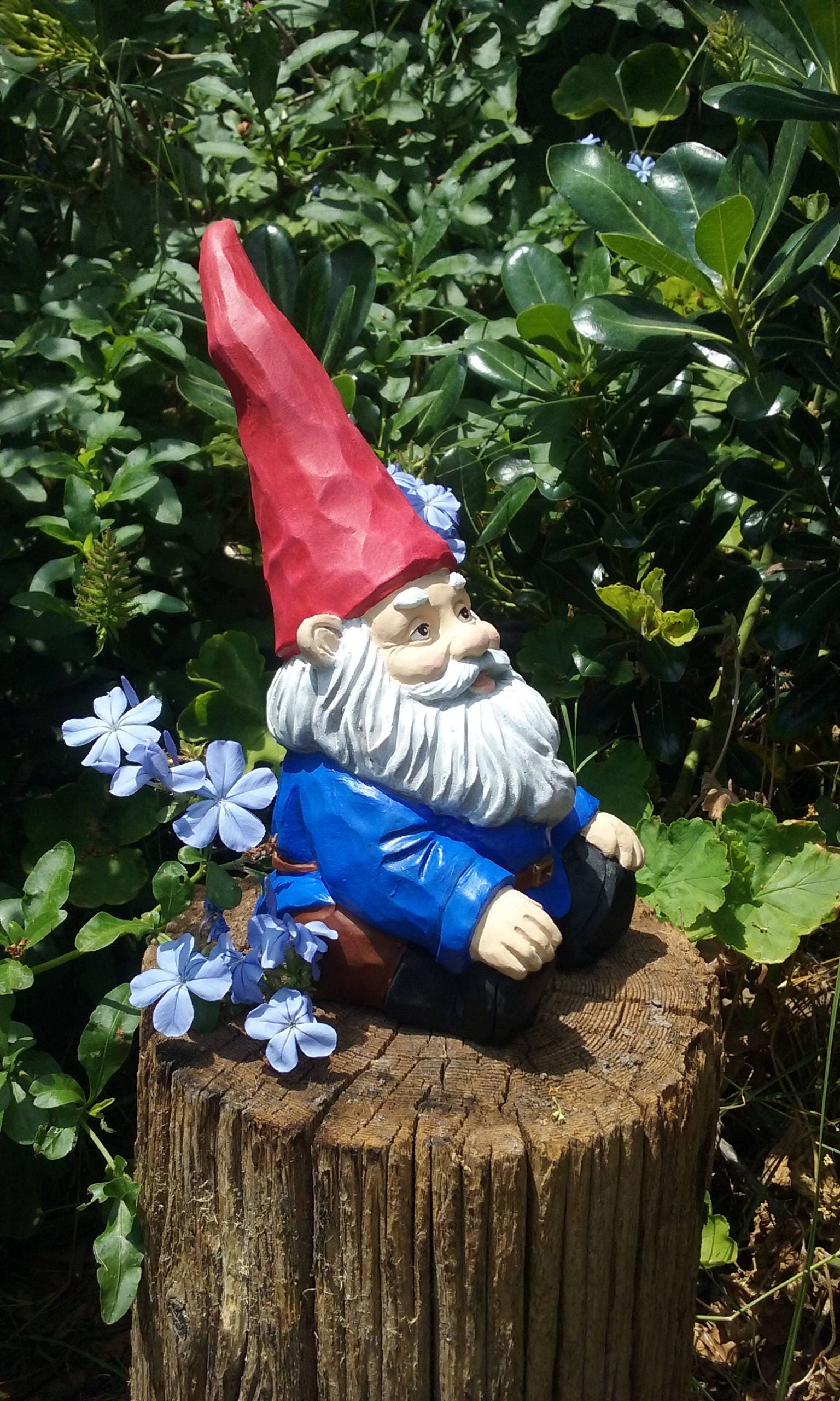 8.5 Inches Tall' Gnome Relaxing Garden Gnome Etsy