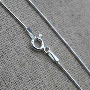 Peut inclure: Un collier en chaîne serpent argenté avec un fermoir à ressort.